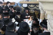 🌴בצל הקודש🌴
רבינו שליט"א ביי אמירת כל ספר תהילים א