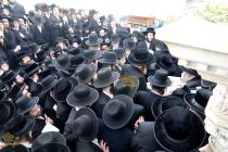 🌴בצל הקודש🌴
רבינו שליט"א ביי אמירת כל ספר תהילים א