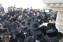 ערשטע בילדער כ''ק רבינו הגה''ק שליט"א ביי אמירת כל