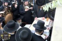 ערשטע בילדער כ''ק רבינו הגה''ק שליט"א ביי אמירת כל