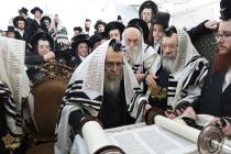 🌴בצל הקודש🌴
רבינו שליט"א ביי תפילת שחרית ואמירת הל