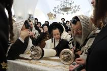 🌴בצל הקודש🌴
רבינו שליט"א ביי תפילת שחרית ואמירת הל