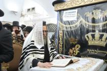 🌴בצל הקודש🌴
רבינו שליט"א ביי תפילת שחרית ואמירת הל