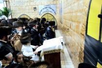 🌴בצל הקודש🌴
רבינו שליט"א ביי תפילת מעריב נאך שלו''