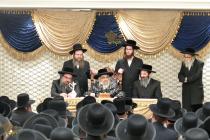 🌴בצל הקודש🌴
רבינו שליט"א ביי די מסיבה מיט די נדיבי