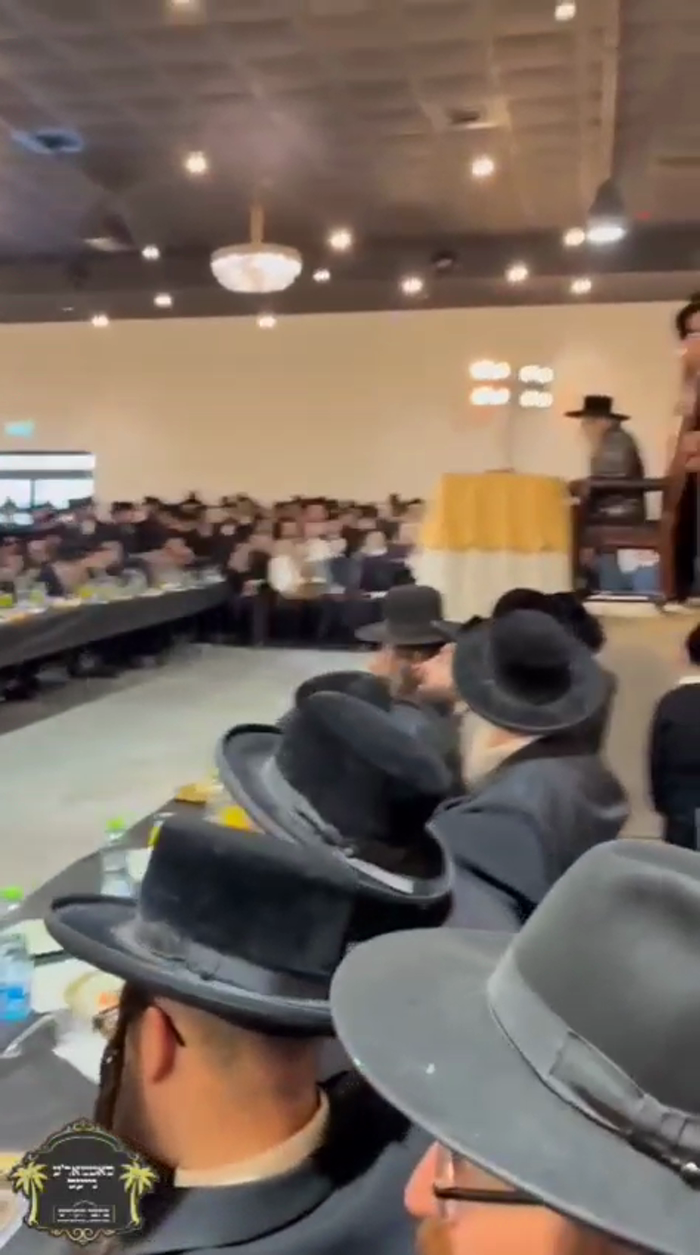 *מים רבים לא יוכלו לכבות את האהבה*

ערשטע בילדער מ