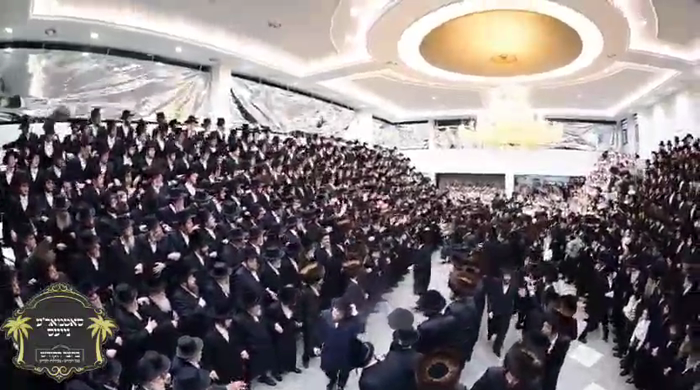 כ''ק רבינו הגה''ק שליט"א ביים מעמד הכנסת ספר תורה 