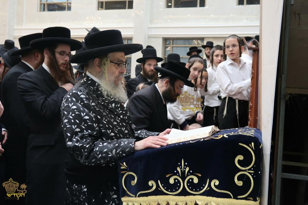 🌴בצל הקודש🌴
רבינו שליט"א ביי תפילת מעריב בהיכל ביה