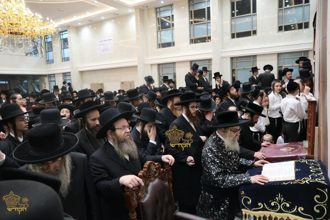 🌴בצל הקודש🌴
רבינו שליט"א ביי תפילת מעריב בהיכל ביה