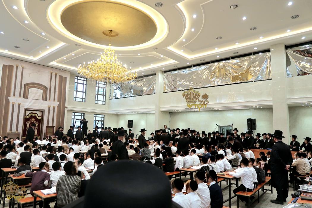 🌴בצל הקודש 🌴
רבינו שליט"א ביים זיך אומקוקן אויף די