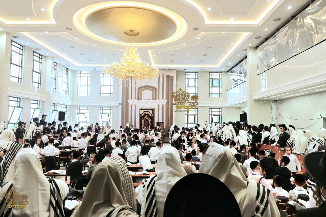 🌴בצל הקודש 🌴
רבינו שליט"א ביי תפילת שחרית אינאיינע