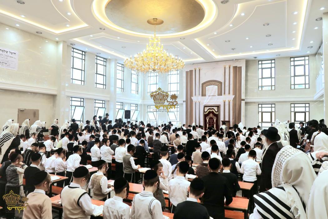 🌴בצל הקודש 🌴
רבינו שליט"א ביי תפילת שחרית אינאיינע