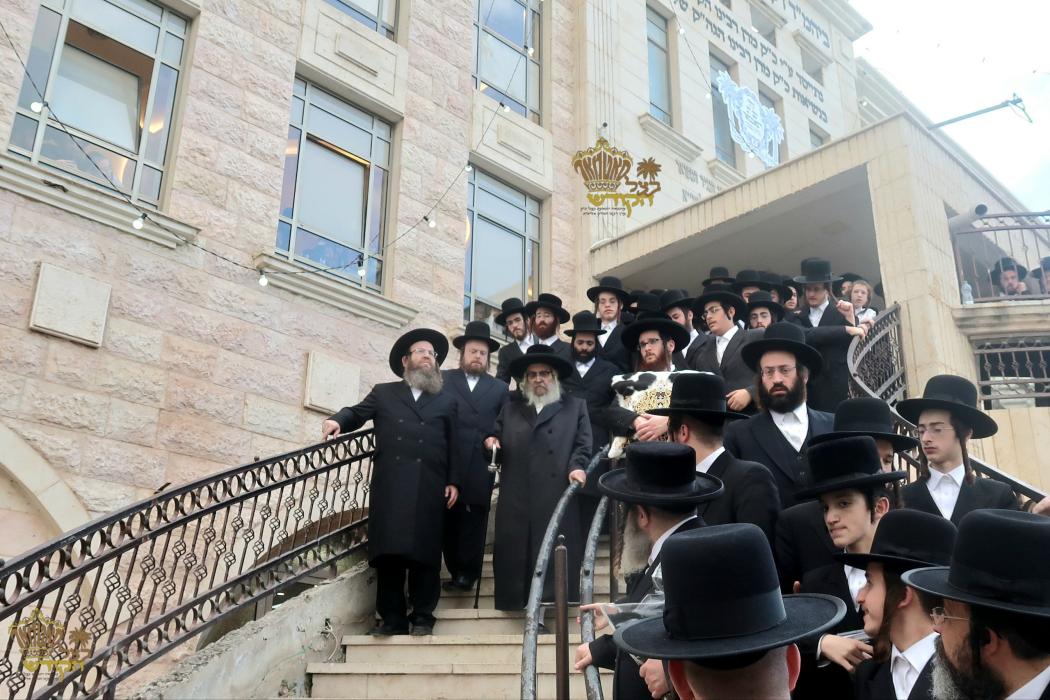 🌴בצל הקודש 🌴
רבינו שליט"א ביים פארטיילן מטבעות פאר