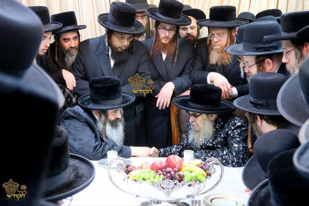 🌴בצל הקודש🌴
רבינו שליט"א אויף א באזוך ביי האדמו"ר 