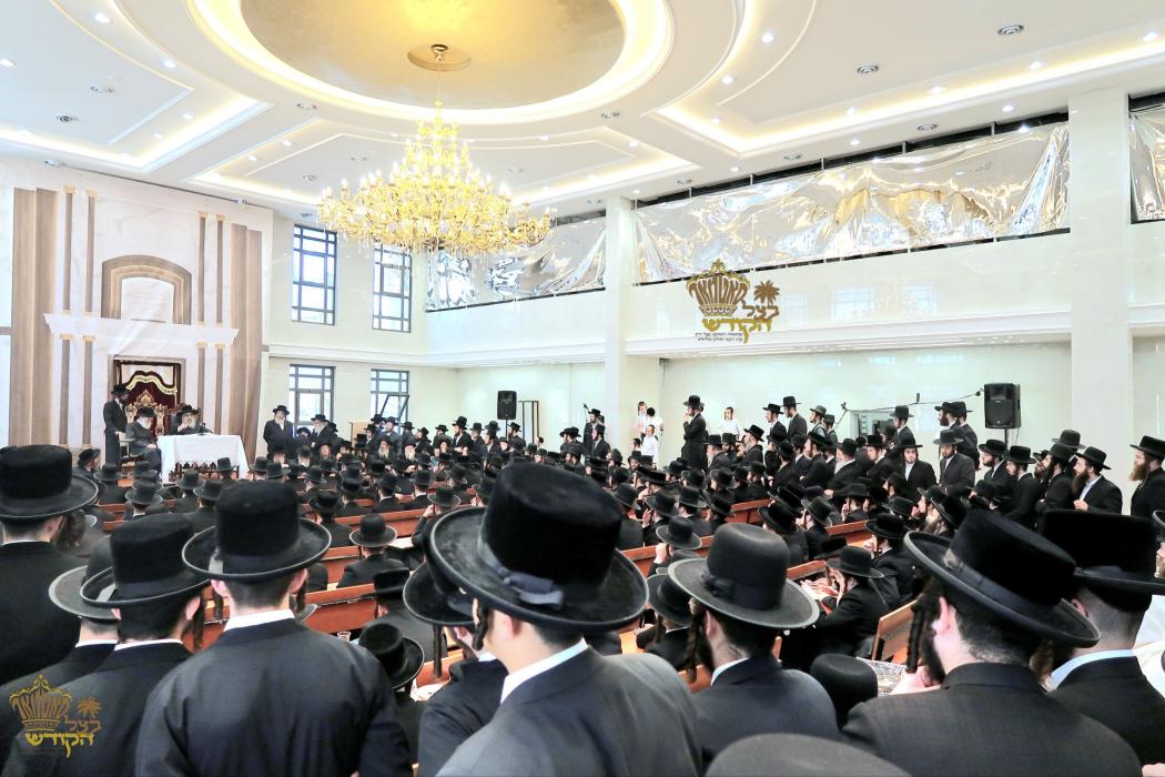 🌴בצל הקודש 🌴
רבינו שליט"א ביים מסיבת לחיים נאך תפי