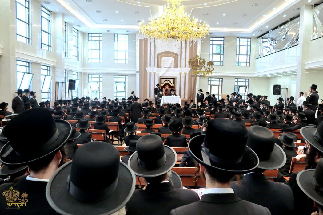 🌴בצל הקודש 🌴
רבינו שליט"א ביים מסיבת לחיים נאך תפי