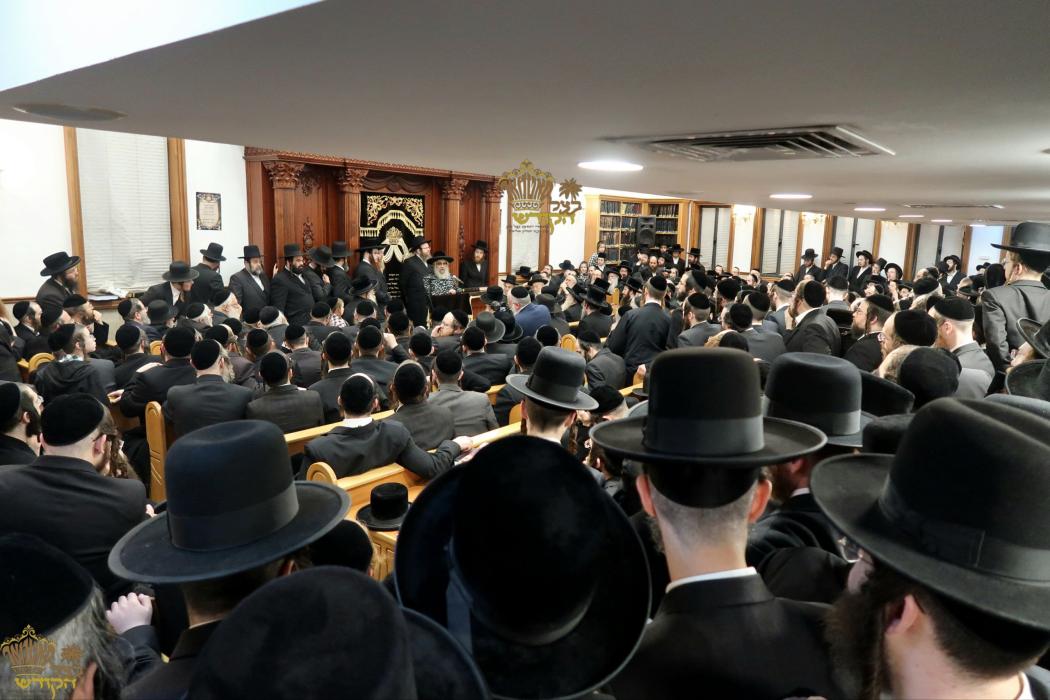 🌴בצל הקודש🌴
רבינו שליט"א ביים משמיע זיין א שיעור ד