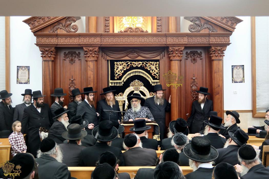 🌴בצל הקודש🌴
רבינו שליט"א ביים משמיע זיין א שיעור ד