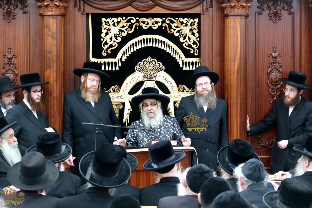 🌴בצל הקודש🌴
רבינו שליט"א ביים משמיע זיין א שיעור ד