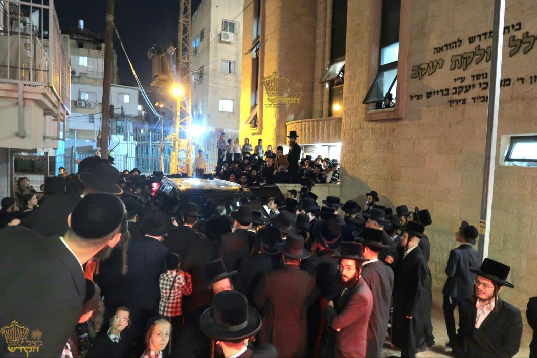 🌴בצל הקודש🌴
רבינו שליט"א ביים משמיע זיין א שיעור ד