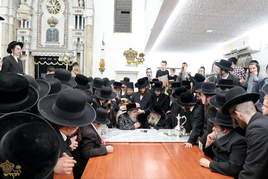 🌴בצל הקודש🌴
רבינו שליט"א אויף א באזוך ביי האדמו"ר 