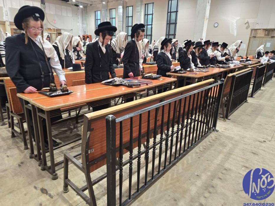 וויליאמסבורג - פילע תפילין לייגנס נעכטן ביי האדמו"