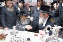 🌴בצל הקודש🌴
רבינו שליט"א אויף א באזוך ביי הגאון רב