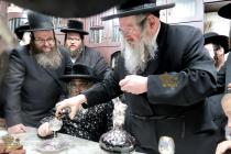 🌴בצל הקודש🌴
רבינו שליט"א אויף א באזוך ביי הגאון רב