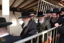 🌴בצל הקודש🌴
רבינו שליט"א אויף א באזוך ביי גיסו האד