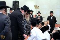 🌴בצל הקודש 🌴
רבינו שליט"א ביים זיך אומקוקן אויף די