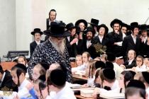 🌴בצל הקודש 🌴
רבינו שליט"א ביים זיך אומקוקן אויף די