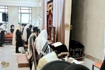 🌴בצל הקודש 🌴
רבינו שליט"א ביי תפילת שחרית אינאיינע