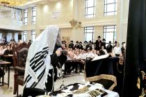 🌴בצל הקודש 🌴
רבינו שליט"א ביי תפילת שחרית אינאיינע