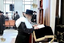 🌴בצל הקודש 🌴
רבינו שליט"א ביי תפילת שחרית אינאיינע