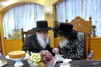 🌴בצל הקודש🌴
רבינו שליט"א אויף א באזוך ביי האדמו"ר 