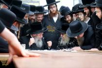 🌴בצל הקודש🌴
רבינו שליט"א אויף א באזוך ביי האדמו"ר 