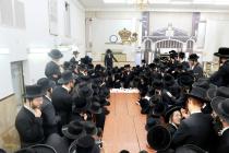 🌴בצל הקודש🌴
רבינו שליט"א אויף א באזוך ביי האדמו"ר 