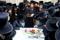 🌴בצל הקודש🌴
רבינו שליט"א אויף א באזוך ביי האדמו"ר 