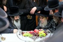 🌴בצל הקודש🌴
רבינו שליט"א אויף א באזוך ביי האדמו"ר 