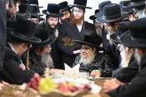 🌴בצל הקודש🌴
רבינו שליט"א אויף א באזוך ביי האדמו"ר 