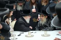 🌴בצל הקודש🌴
רבינו שליט"א אויף א באזוך ביי האדמו"ר 