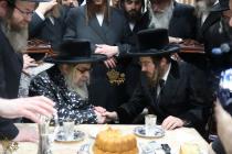 🌴בצל הקודש🌴
רבינו שליט"א אויף א באזוך ביי האדמו"ר 