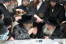 🌴בצל הקודש🌴
רבינו שליט"א אויף א באזוך ביי האדמו"ר 