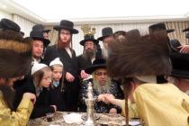 🌴בצל הקודש🌴
מסיבת לחיים נעכטן נאכט בבית האכסניא אי