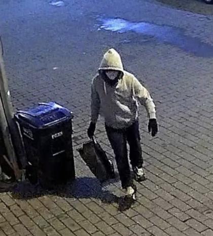 אמעריקאנער אויטאריטעטן האבן ארעסטירט א פארשוין, מי