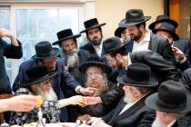 בזמן שהצדיק בעיר 

בילדער גאלערי פון די באזוך פון 