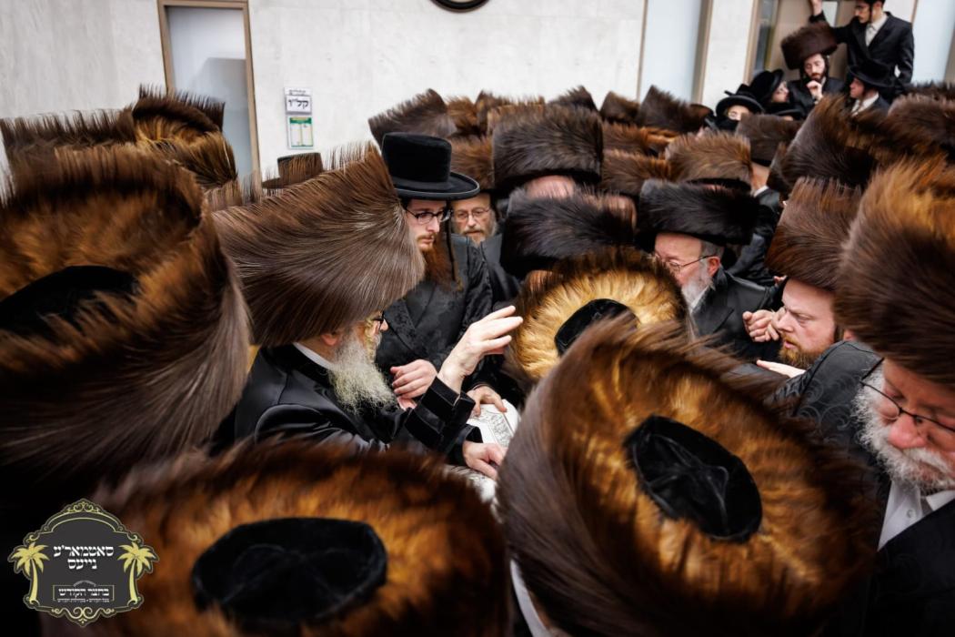 שמחת נישואי הכלה נכדת דור רביעי הבכירה פון כ''ק רב