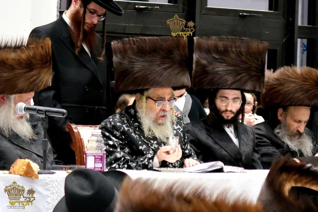 🌴בצל הקודש🌴
רבינו שליט''א ביים שמחת השבע ברכות אין