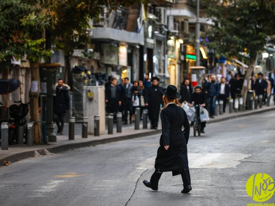 ירושלים - די פרייע 'דעמאקראטיע אינסטיטוט' אין לאנד