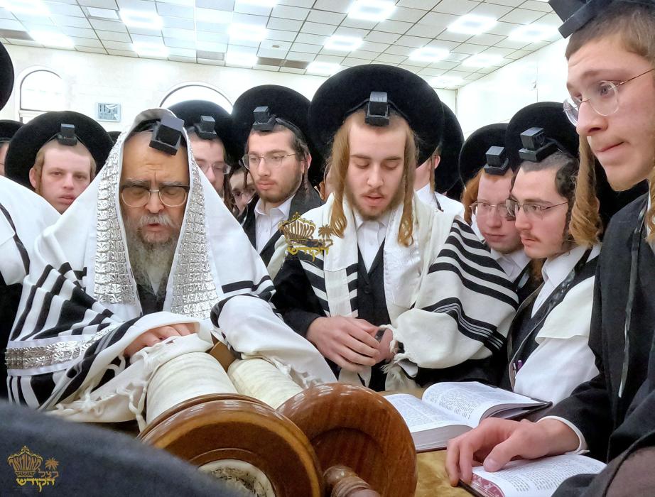 🌴בצל הקודש🌴
רבינו שליט"א ביי אמירת הלל און קריאת ה